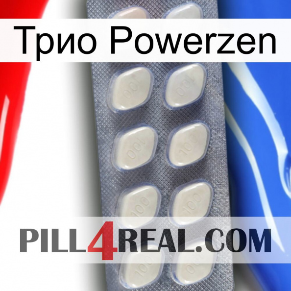 Трио Powerzen 08.jpg